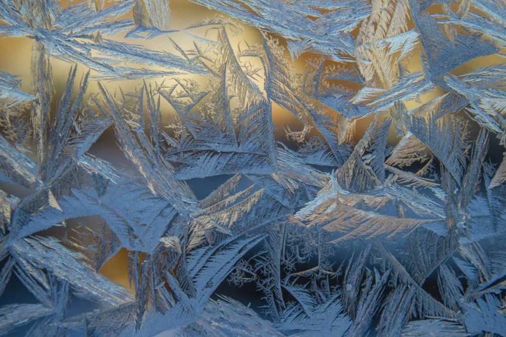 USA, Colorado, Denver Frost on a window